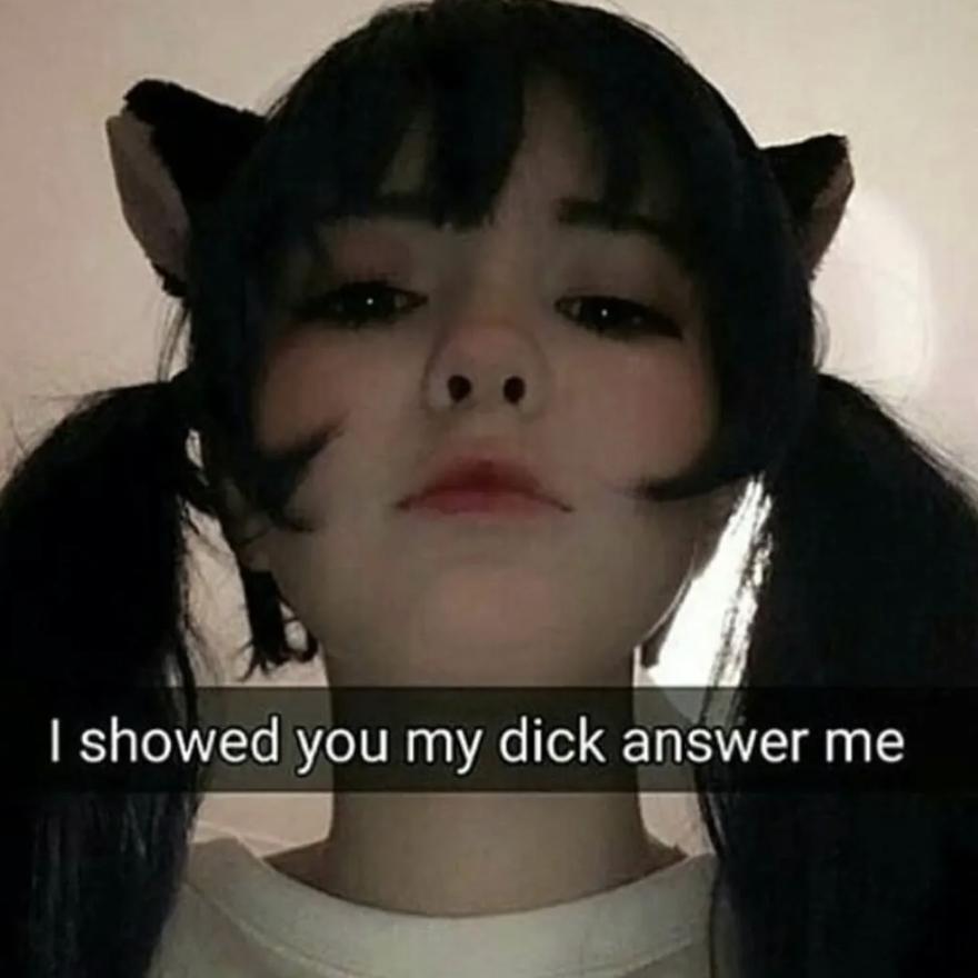 I Showed You My Example